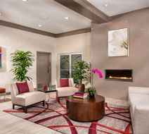 ALO Hotel by Ayres Lobby