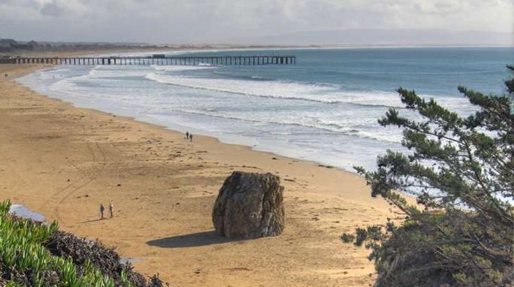 The SeaCrest OceanFront Hotel Beach