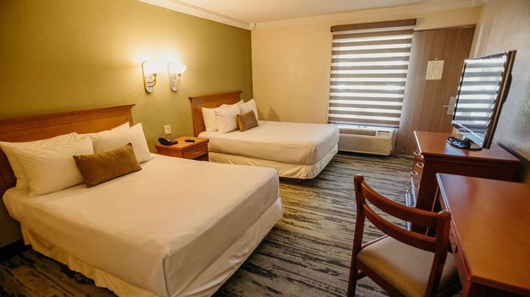 Calafia Hotel Room