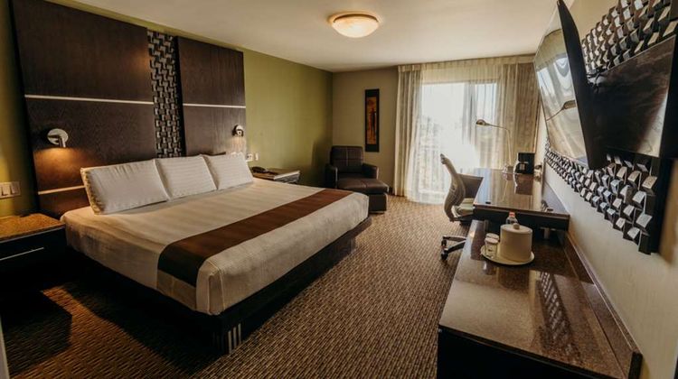 Araiza Hotel & Convention Ctr Room