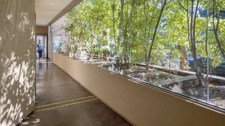 <b>Acqua Hotel Other</b>. Images powered by <a href=https://www.travelagewest.com/Hotels/Mill-Valley-CA/