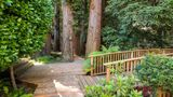 Mill Valley Inn Exterior