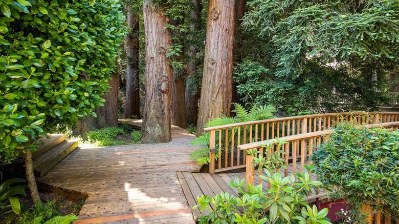 <b>Mill Valley Inn Exterior</b>. Images powered by <a href="https://iceportal.shijigroup.com/" title="IcePortal" target="_blank">IcePortal</a>.