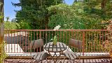 Mill Valley Inn Other
