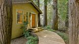 Mill Valley Inn Suite