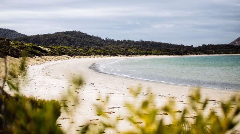 <b>Saffire Freycinet Beach</b>. Images powered by <a href="https://iceportal.shijigroup.com/" title="IcePortal" target="_blank">IcePortal</a>.