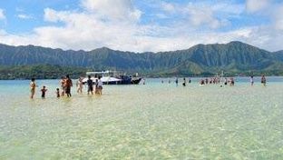 Paradise Bay Resort