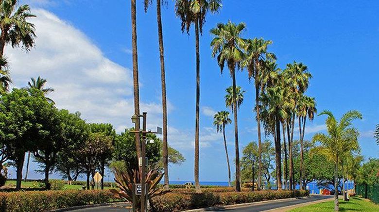 <b>Castle Kamaole Sands Exterior</b>. Images powered by <a href="https://iceportal.shijigroup.com/" title="IcePortal" target="_blank">IcePortal</a>.