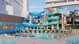 <b>Beach Palace Pool</b>. Images powered by <a href="https://iceportal.shijigroup.com/" title="IcePortal" target="_blank">IcePortal</a>.