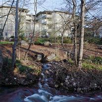 Plaza Inn & Suites at Ashland Creek