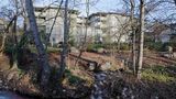 Plaza Inn & Suites at Ashland Creek Exterior