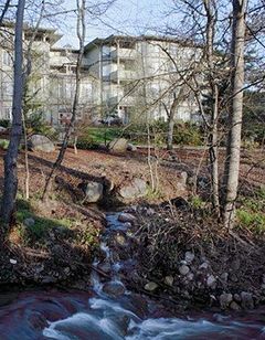 Plaza Inn & Suites at Ashland Creek