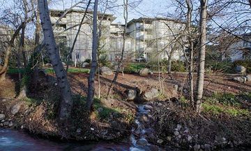 Plaza Inn & Suites at Ashland Creek