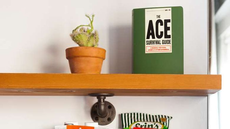 <b>Ace Hotel Seattle Room</b>. Images powered by <a href="https://iceportal.shijigroup.com/" title="IcePortal" target="_blank">IcePortal</a>.