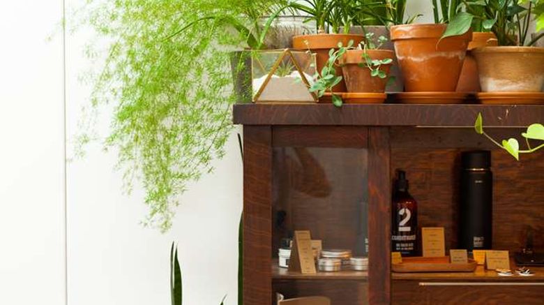 <b>Ace Hotel Seattle Lobby</b>. Images powered by <a href="https://iceportal.shijigroup.com/" title="IcePortal" target="_blank">IcePortal</a>.