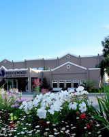 Wedgewood Resort