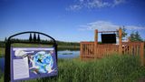 Wedgewood Resort Recreation