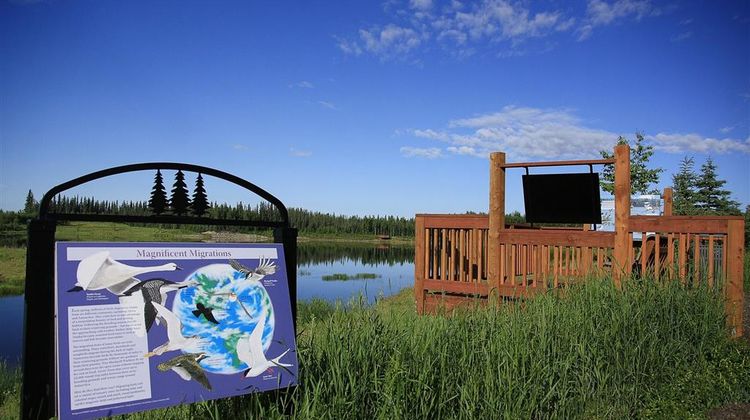 Wedgewood Resort Recreation