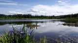 Wedgewood Resort Recreation