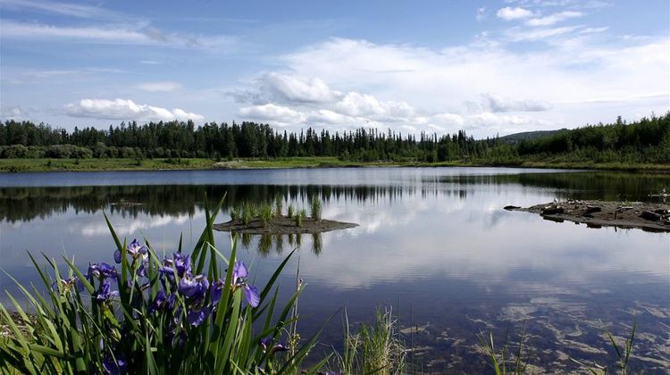 Wedgewood Resort Recreation