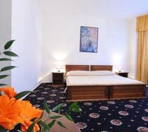 Hotel Brioni Room