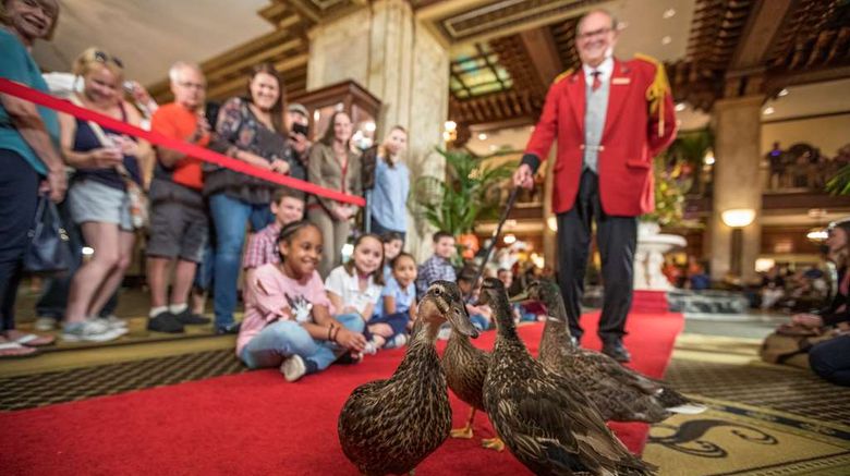 <b>The Peabody Memphis Other</b>. Images powered by <a href="https://iceportal.shijigroup.com/" title="IcePortal" target="_blank">IcePortal</a>.