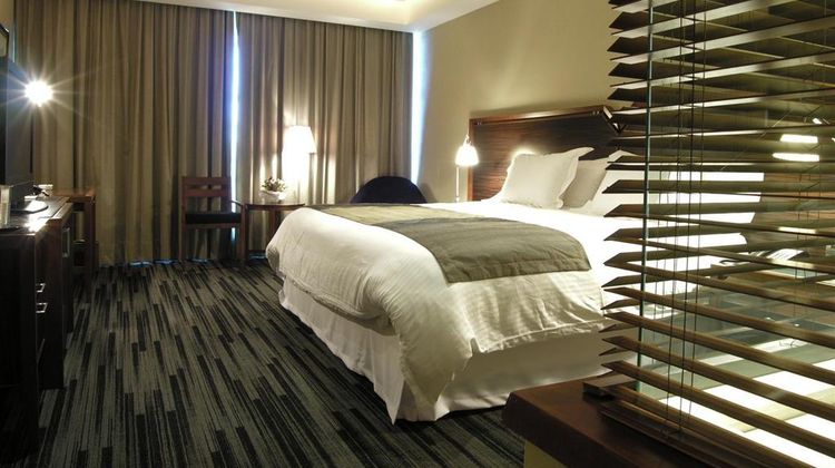 Hotel Pedro de Valdivia Room
