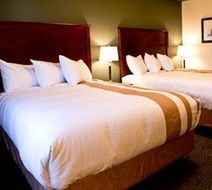Chateau Nova Yellowhead Room