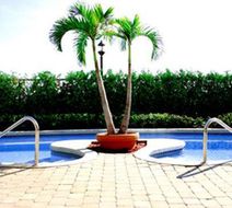 Le St-Martin Hotel & Suites Pool