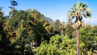 Hotel Ismael 312