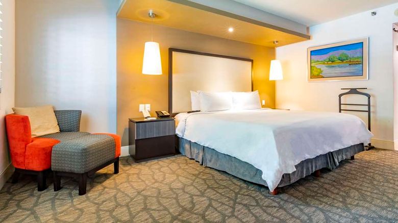<b>Hotel Lucerna Mexicali Room</b>. Images powered by <a href="https://iceportal.shijigroup.com/" title="IcePortal" target="_blank">IcePortal</a>.