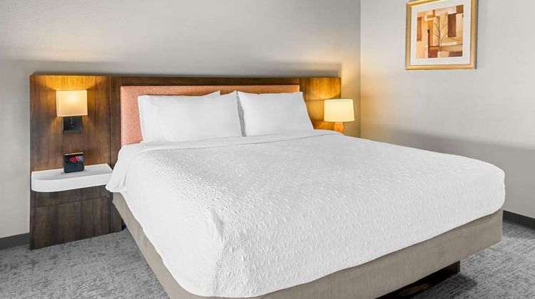 Hampton Inn & Suites Abilene I-20 Room