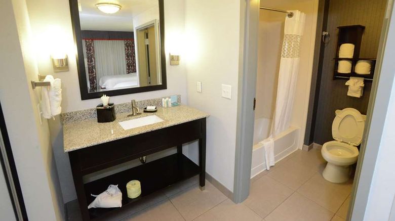 <b>Hampton Inn & Suites Albany, GA Room</b>. Images powered by <a href="https://iceportal.shijigroup.com/" title="IcePortal" target="_blank">IcePortal</a>.