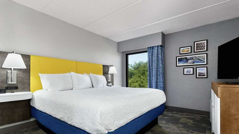 <b>Hampton Inn Amelia Island Other</b>. Images powered by <a href="https://iceportal.shijigroup.com/" title="IcePortal" target="_blank">IcePortal</a>.