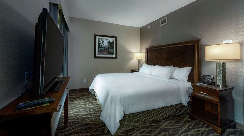 <b>Embassy Suites Saratoga Springs Other</b>. Images powered by <a href="https://iceportal.shijigroup.com/" title="IcePortal" target="_blank">IcePortal</a>.