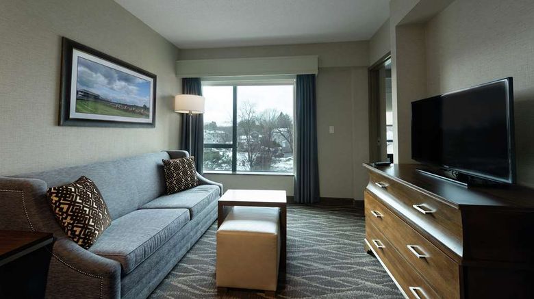 <b>Embassy Suites Saratoga Springs Other</b>. Images powered by <a href="https://iceportal.shijigroup.com/" title="IcePortal" target="_blank">IcePortal</a>.