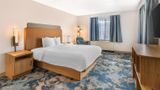 <b>Hampton Inn Schenectady Room</b>. Images powered by <a href="https://iceportal.shijigroup.com/" title="IcePortal" target="_blank">IcePortal</a>.