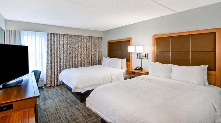 Hampton Inn Albany-Wolf Rd (Airport) Room