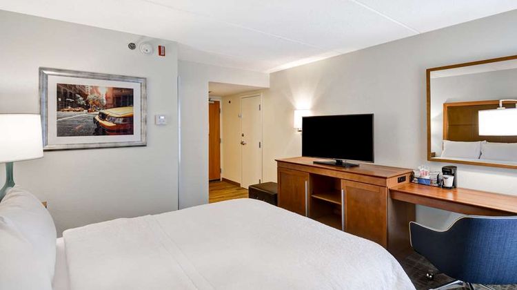 Hampton Inn Albany-Wolf Rd (Airport) Room