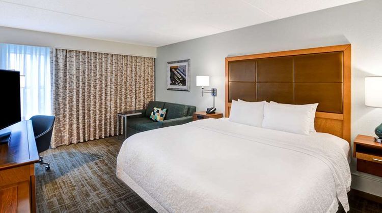 Hampton Inn Albany-Wolf Rd (Airport) Room