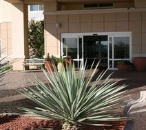 Hampton Inn Alpine Exterior
