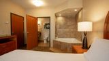 Hilton Garden Inn - Cedar Falls Room