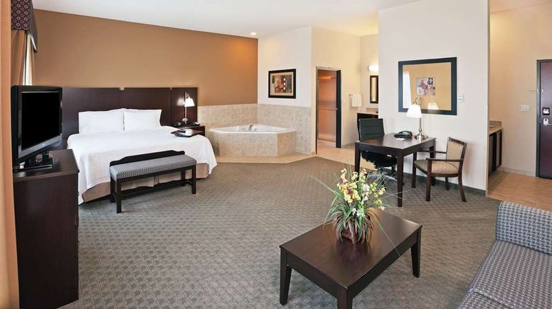 <b>Hampton Inn & Suites Dumas Room</b>. Images powered by <a href="https://iceportal.shijigroup.com/" title="IcePortal" target="_blank">IcePortal</a>.