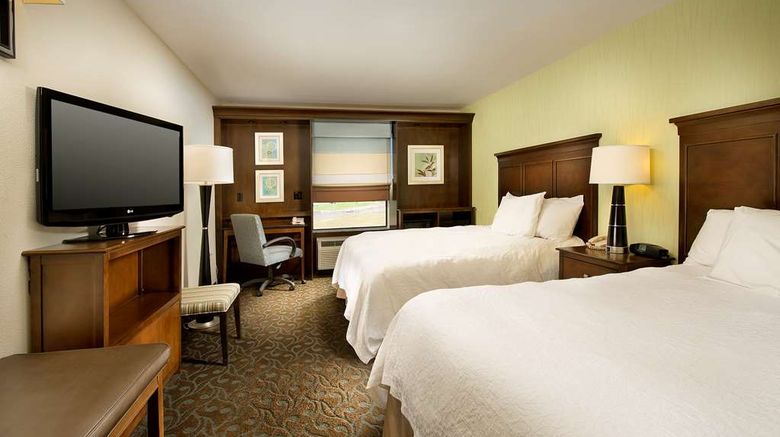 <b>Hampton Inn Pampa Room</b>. Images powered by <a href="https://iceportal.shijigroup.com/" title="IcePortal" target="_blank">IcePortal</a>.