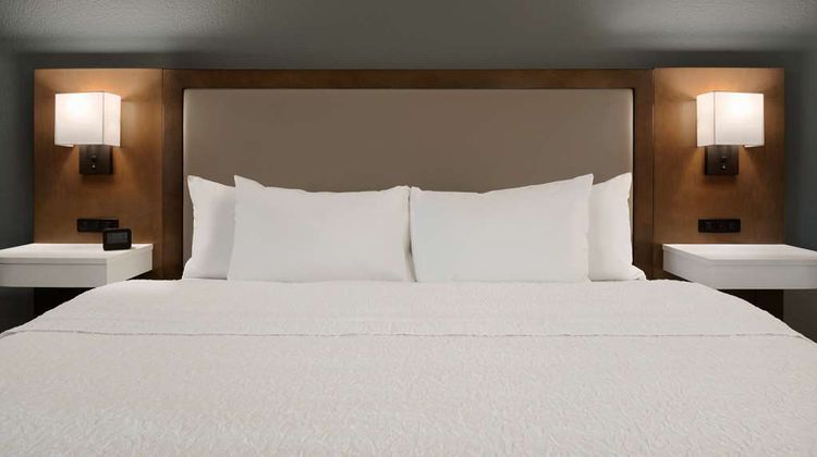 Hampton Inn Appleton-Fox River Mall Room