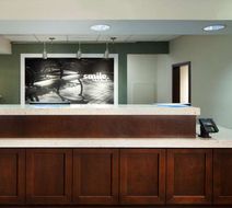 Hampton Inn Lawrenceville Lobby