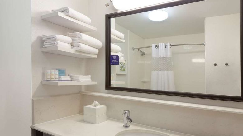<b>Hampton Inn Lawrenceville Room</b>. Images powered by <a href="https://iceportal.shijigroup.com/" title="IcePortal" target="_blank">IcePortal</a>.
