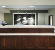 Hampton Inn Lawrenceville Lobby
