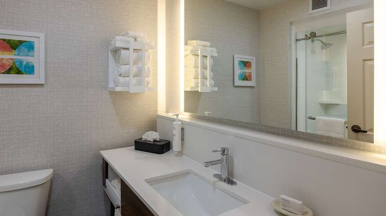 <b>Hampton Inn Alpharetta/Roswell Room</b>. Images powered by <a href="https://iceportal.shijigroup.com/" title="IcePortal" target="_blank">IcePortal</a>.