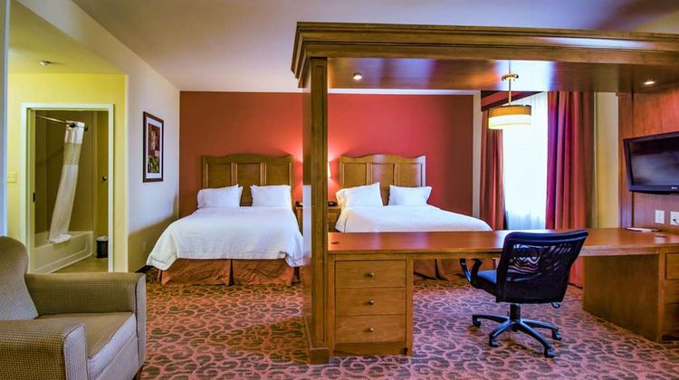 Hampton Inn & Suites Bastrop Room
